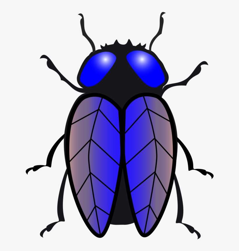 Bug - Clipart Tsetse Fly, transparent png download