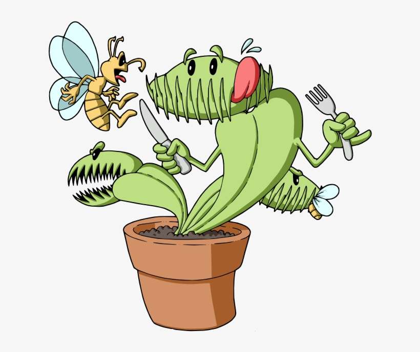 More Views - Happy Venus Fly Trap, transparent png download