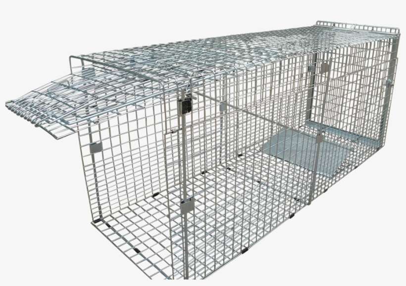 Dogs Cage Trap Animal Trap Cage Png PNG Image Transparent PNG Free