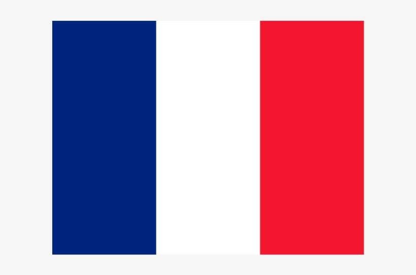 Flag Of French Guiana Logo Png Transparent - France Alternate Flag, transparent png download