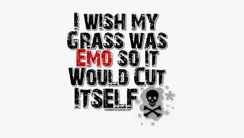 Okay, So Obviously I'm Not Really Emo - Schwabentor, transparent png download