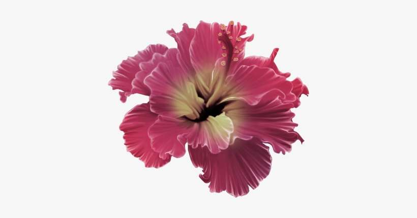 Read It - Red Tropical Flower Png, transparent png download