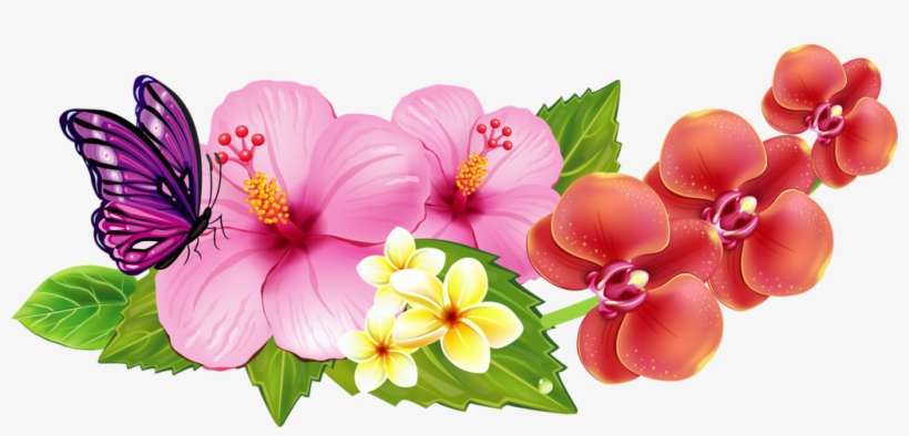 Soloveika Decoupage Pinterest - Tropical Banner Pillow Case, transparent png download