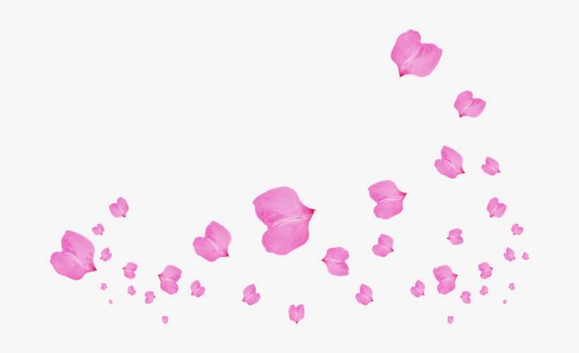 Petal, transparent png download