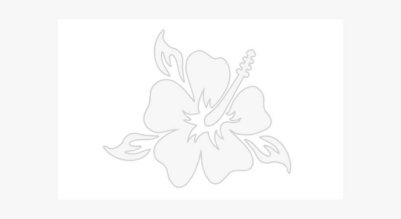 Hibiscus With Leaves $4 - Hibiscus, transparent png download