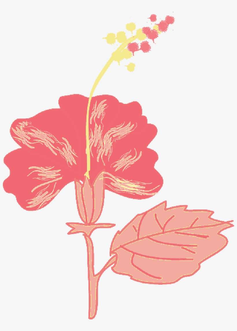Mb Image/png - Hibiscus In Cartoon, transparent png download