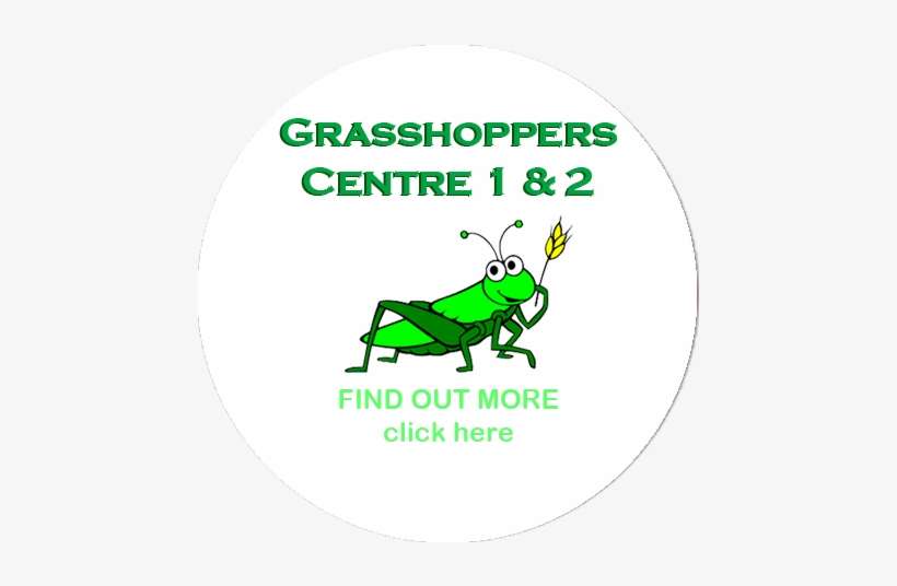 Grasshoppers Tuesday 28th & Wednesday 29th August - Grasshopper Clipart Png, transparent png download