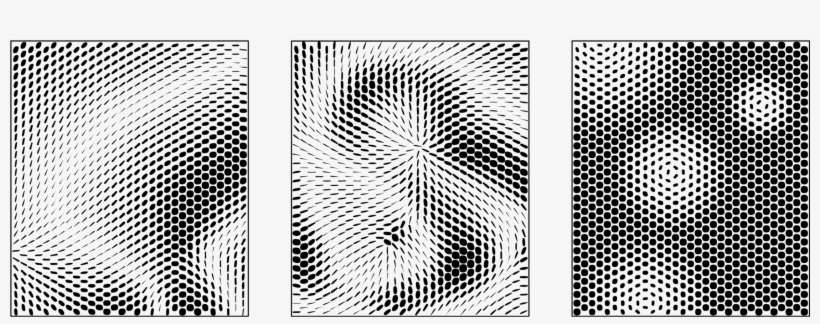 Working With Attractors - Rhinoceros 3d, transparent png download