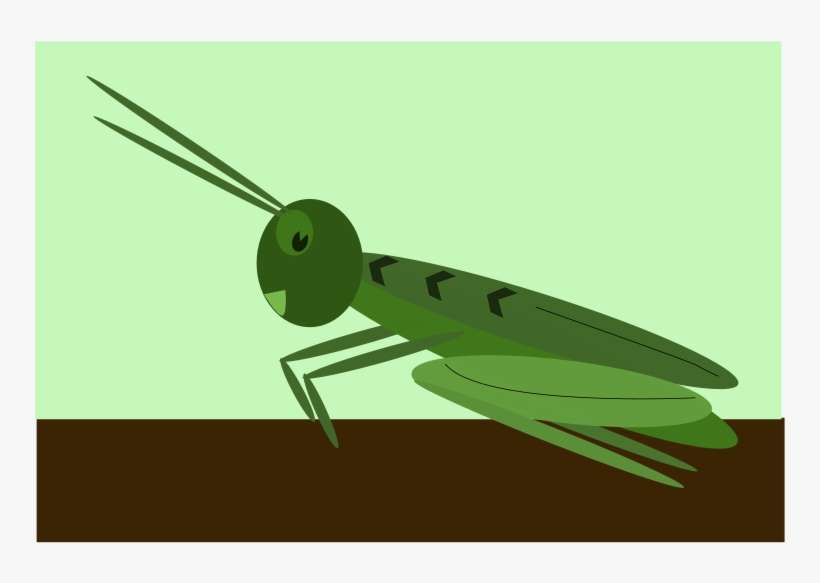 Hoe Teken Je Een Sprinkhaan, transparent png download