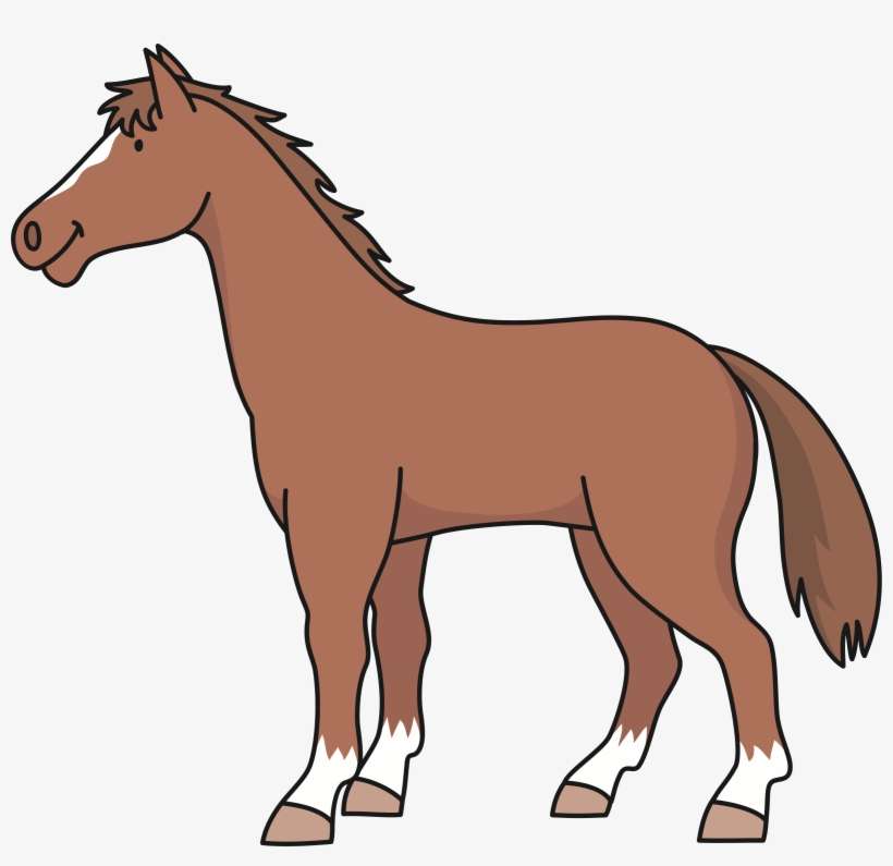 Big Image - Horse, transparent png download