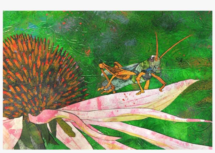 Previous / Next Image - Grasshopper, transparent png download