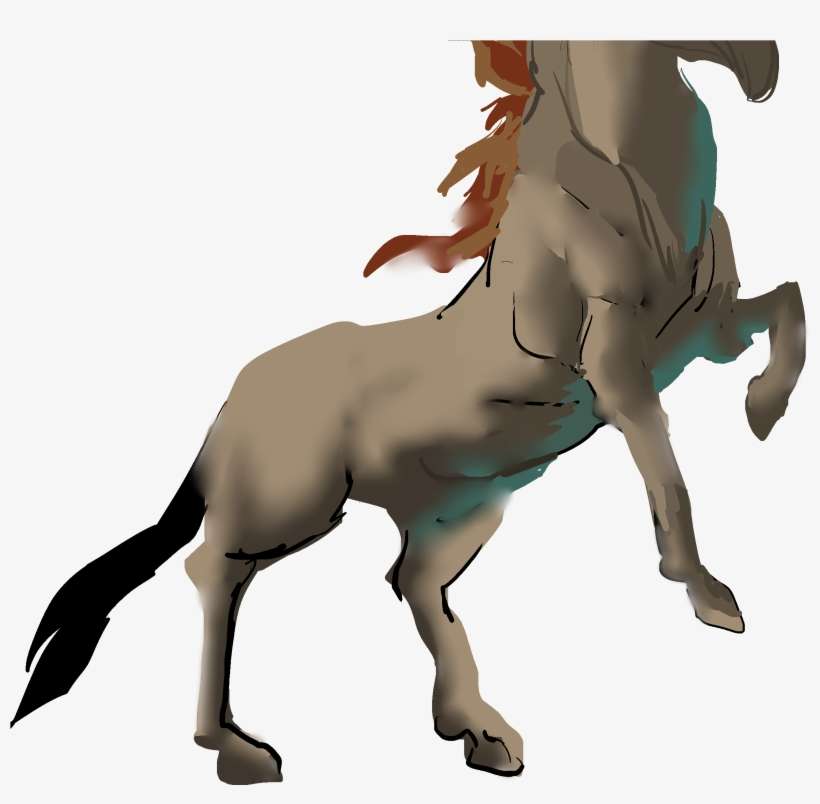 More Info - Asinnelius@gmail - Com - Stallion, transparent png download