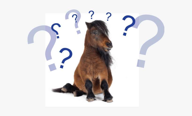 Do You Speak Russian - Pony Stuff By Ponies, transparent png download