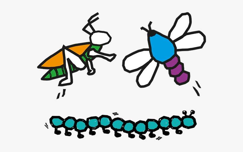 Grasshoppers, Dragonflies And Millipedes - Bright Beginnings Childcare Centre, transparent png download