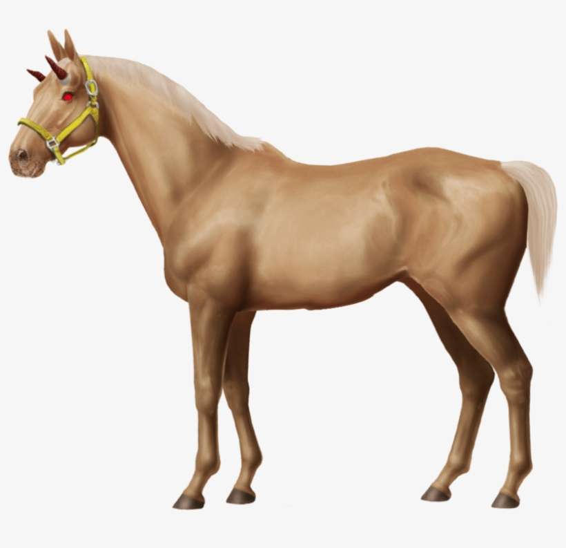 Devil Horse - Baby Horse Png, transparent png download