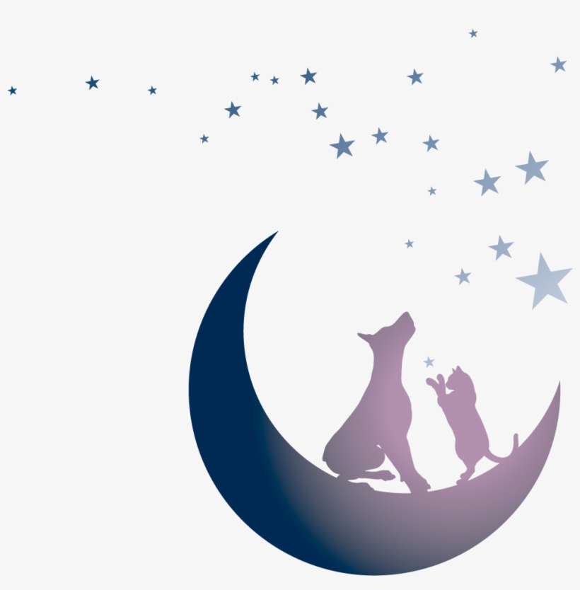 Tails By Twilight - Moon And Stars No Background, transparent png download