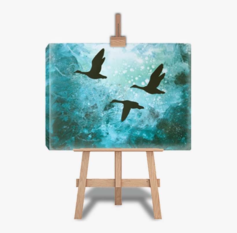 Seabird, transparent png download