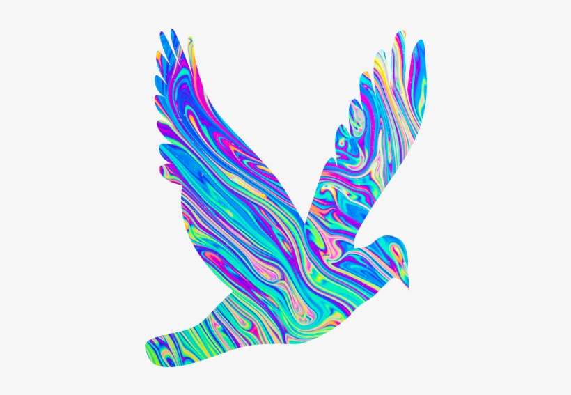 Eagle, transparent png download