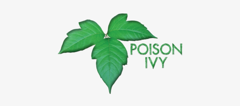 So Sam Got Squeezed In At The Doctor, Wound Up With - Poison Ivy, transparent png download