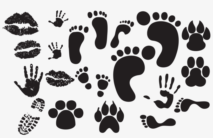 Traces Of Paws, Legs, Hands, Lips - Foot Vector Free Download, transparent png download