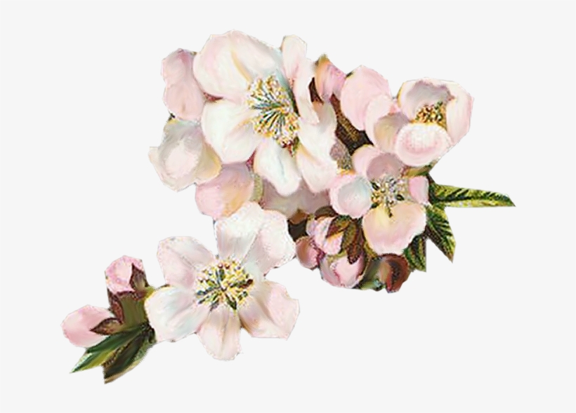 Vintage Flowers Png White, transparent png download