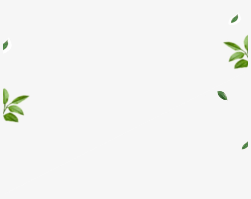 Bg About Store - Graphic Design, transparent png download