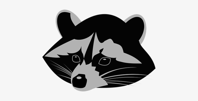 Racoon Coon Raccoon Animal Snout Racoon Ra - สัตว์ คล้าย หมี เล็ก, transparent png download