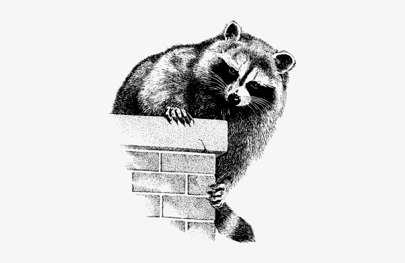 Wildlife Control Logo, transparent png download