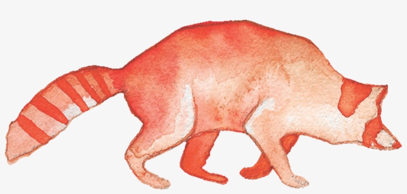 Creatures - Invertebrate PNG Image | Transparent PNG Free Download on ...