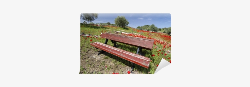 Red Poppy Flower Field In Spring With A Park Bench - Poppy, transparent png download