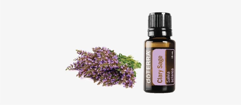 Description - Doterra Clary Sage Essential Oil 15 Ml, transparent png download