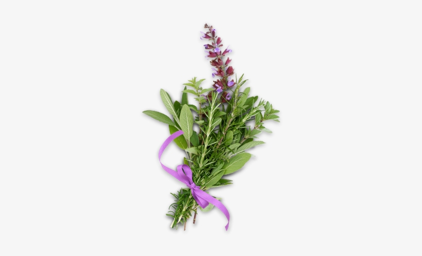 Sage - Max 15% Trichloroacetic Acid Serum-deep Chemical Peel., transparent png download