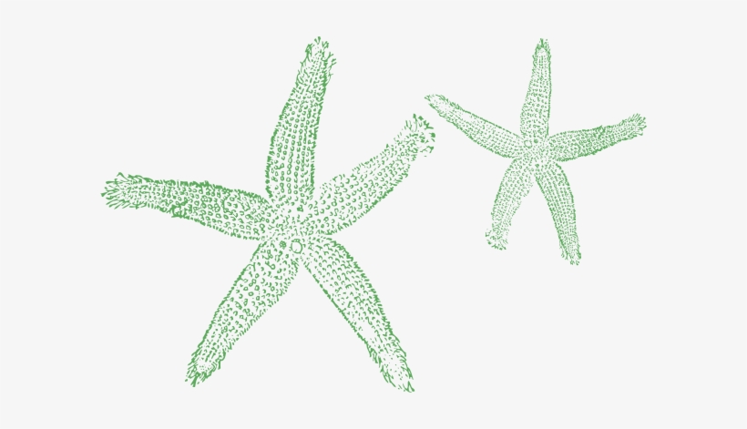 How To Set Use Starfish Sage Clipart, transparent png download