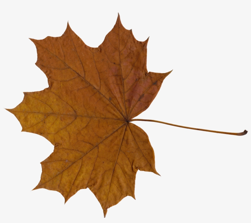 Png File Size - Portable Network Graphics, transparent png download