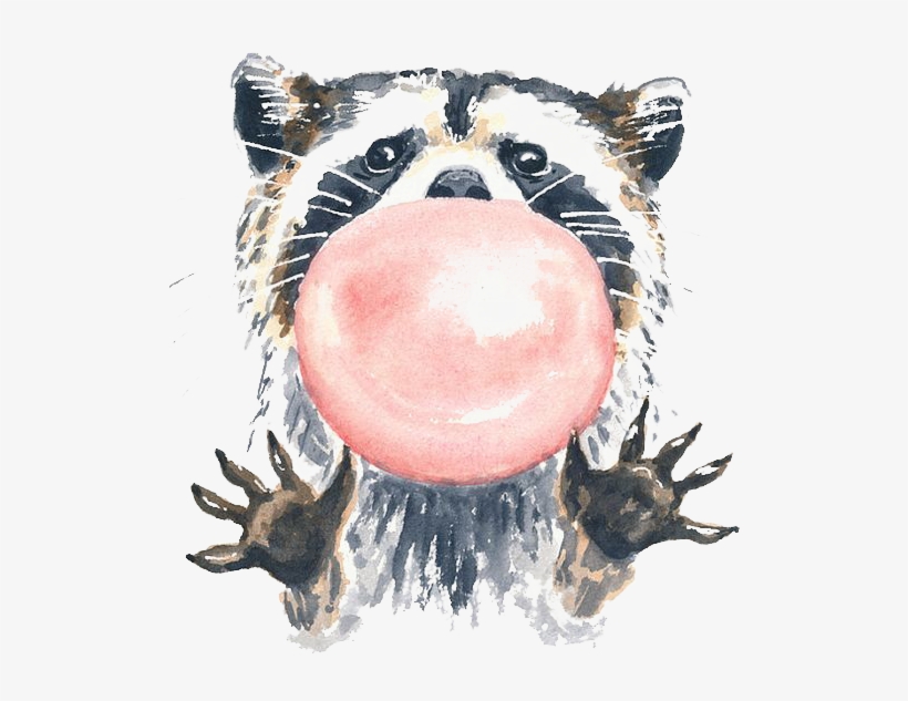 Scraccoon Raccoon Bubble Animal Ftestickers Raccoon Bubble Gum Png Image Transparent Png Free Download On Seekpng