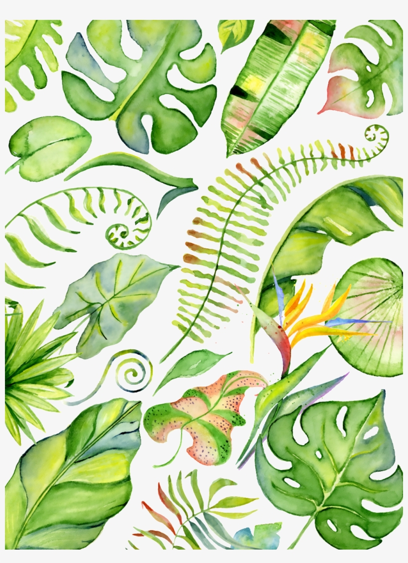 This Backgrounds Is Hand Drawn Various Varieties Of - Watercolor Painting, transparent png download