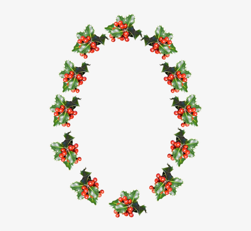 Holley Clipart Real - Ball N Chain Necklace, transparent png download