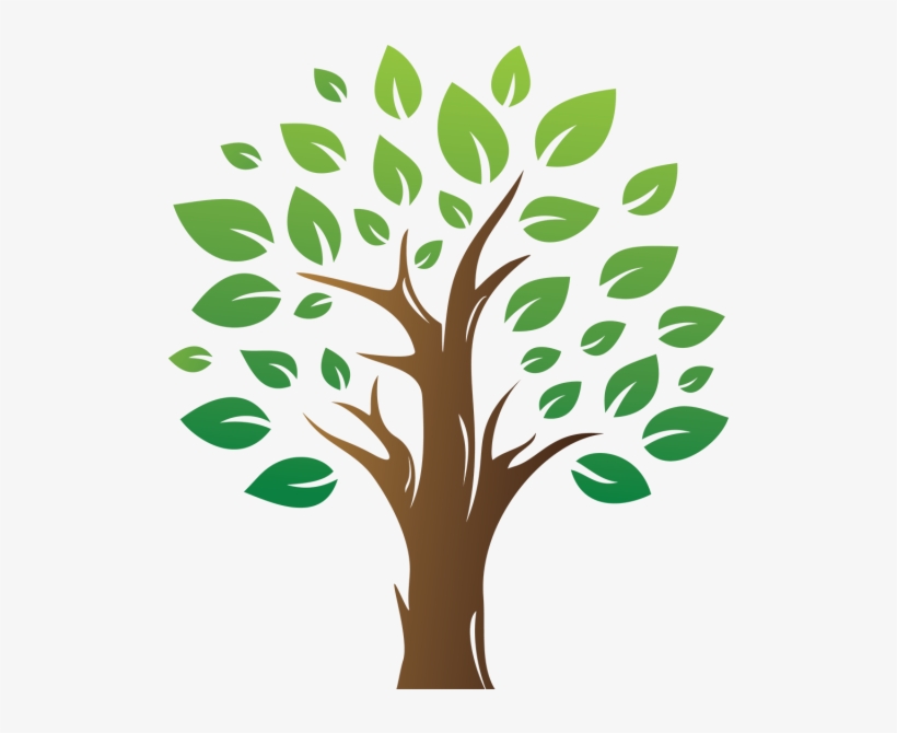 Green Tree With Green Leaf, Tree, Green Tree, Leaves - Arbol Con Hojas Png, transparent png download