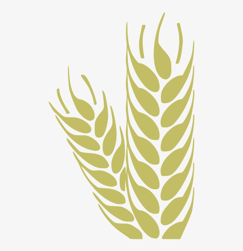 Simple Wheat Clipart, transparent png download