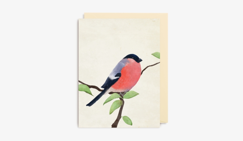 Bullfinch Mini Card - Carrie May - Bullfinch Mini Greeting Card By Lagom, transparent png download