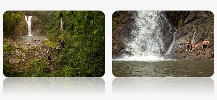 Belize Tours Jungle River Waterfall - Belize, transparent png download