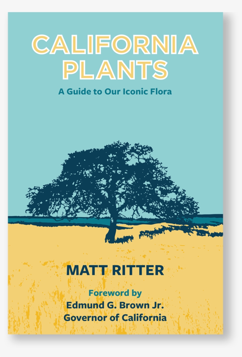 California Plants Excerpt1-1 - California Plants Matt Ritter, transparent png download