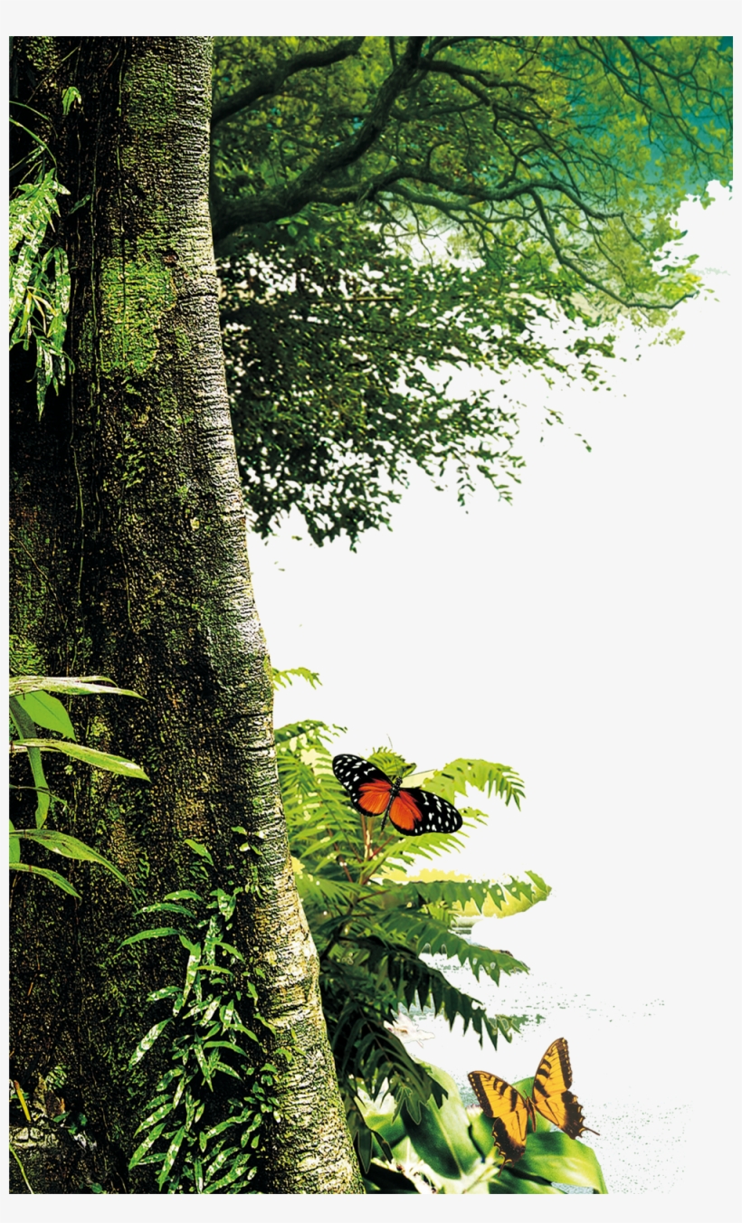 Forest Download Png - Png Images Of Nature, transparent png download