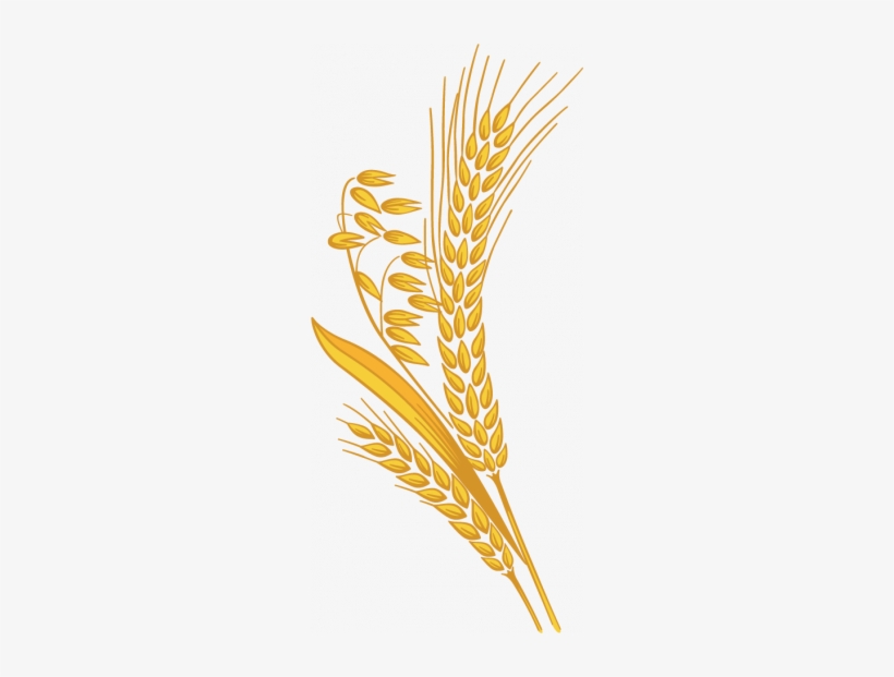 grain png png image transparent png free download on seekpng grain png png image transparent png