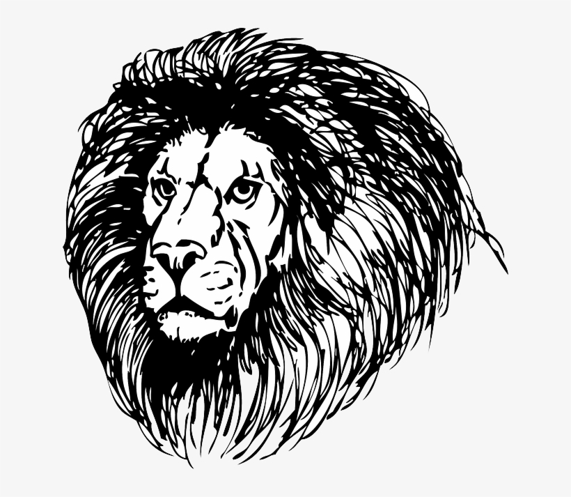 Lion, Lionhead, Cat, Head, Black, Tribal, Outline - Mane Clipart Black And White, transparent png download
