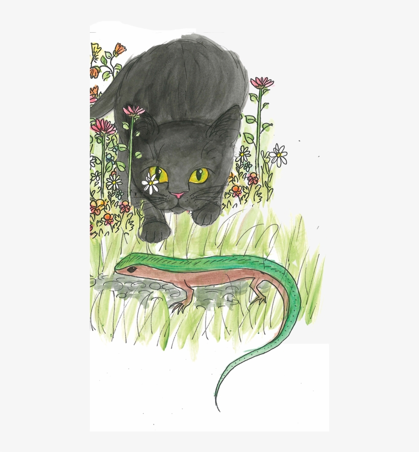 Black Cat, transparent png download