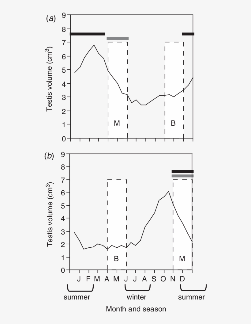 Timing Of Elevated Luteinizing Hormone In Male And - Diagram, transparent png download