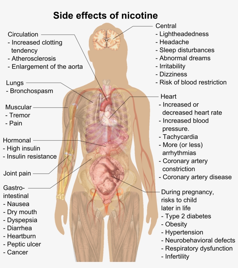 Side Effects Of Nicotine - Vape Dangers, transparent png download