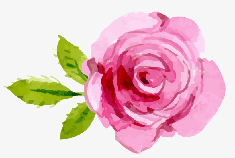 Rose Png Images A Flower That Speaks - Pink Rose Png Transparent, transparent png download