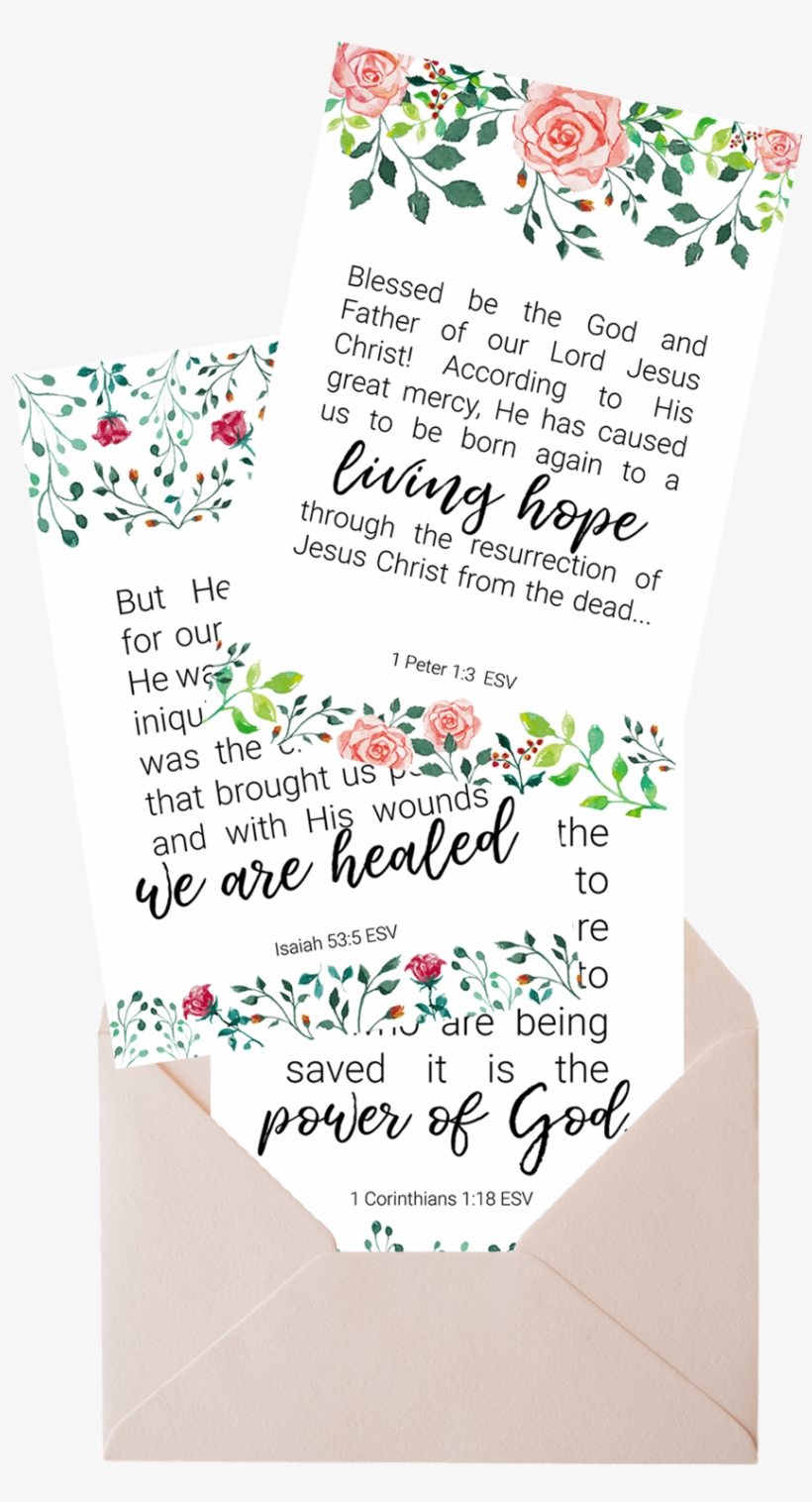 Get Your Full Set Of Watercolor - Calligraphy, transparent png download